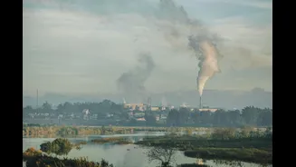 Understanding Air Quality Monitoring: What Jamshedpur's Case Reveals