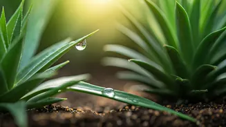 Plant Parents Need Prevention Mode This June