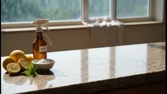 Natural Monsoon Cleaning Is Trending, But Some Germs Still Need Proper Disinfection