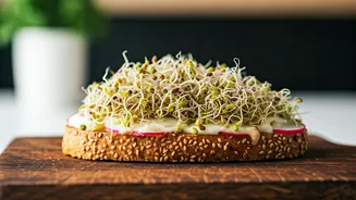 5-Minute Sprout Toast: Your Speedy & Nutritious Breakfast Hack