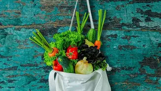 Sustainable Eating Advice Should Focus on Meaningful Changes for Each Household Type
