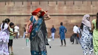 Extreme heat is shrinking the space for daily activity, new study warns