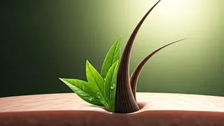 Plant-Based Serum Promises Rapid Hair Regrowth in Weeks: What the Science Reveals