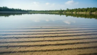 The New Chhattisgarh Pollen Study: Lake Sediments and Pollen Records Now Shape Ancient Monsoon Research