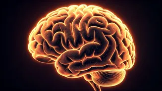 Boost Memory: Strategies for Mental Wellness