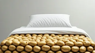Potato Bed Sleep Hack: Unpacking the Hype