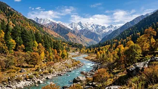 Autumn Workations In Himachal: Affordable Stays In Kasol And Jibhi For Techies