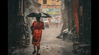 Understanding India's Monsoon: A Guide to Seasonal Preparedness