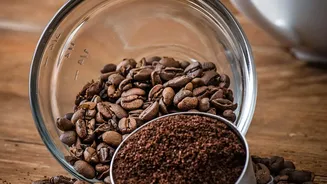 Caffeine Or Decaf? Study Finds Distinct Effects On Memory, Anxiety And Attention