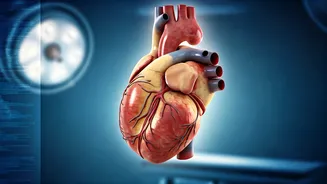 Secrets of Longevity: How to Live Longer, Healthier