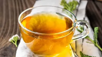Rooibos Tea Versus Regular Tea: What Makes This Herbal Drink Different?
