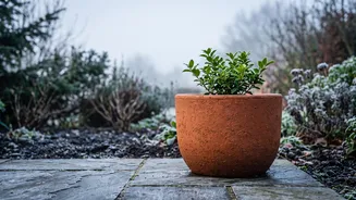 Planting In November: Best Pot Materials For Heat Retention In Northern Winters