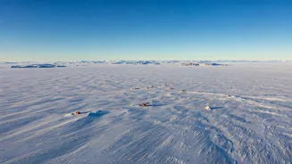 Greenland: Trump's Unusual Arctic Interest