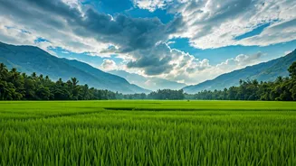 Southwest Monsoon Transforming Kerala Into Breathtaking Green Paradise Now