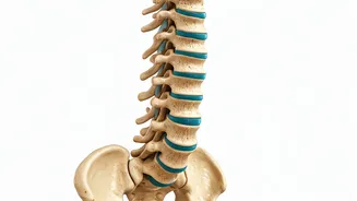 UK Study: Exercise Helps Back and Joint Pain