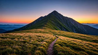 Related Stories banner