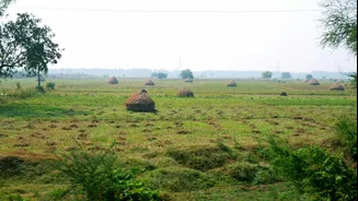 Understanding the Northeast Monsoon in South India