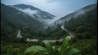 Monsoon Travel Near Delhi Gets Better With These Spots