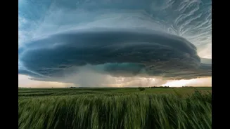 Is 2026 Becoming a Year of Weather Extremes?