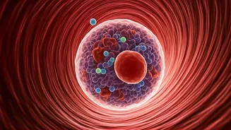 Unraveling the Vaccine Clot Enigma: The Molecular Trigger for VITT Identified