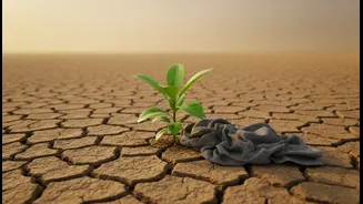 Why Plain Water Fails To Stop Fatigue: The Monsoon Gym Electrolyte Exhaustion Risk