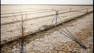 Salty Fields Need Science, Not Just Hope