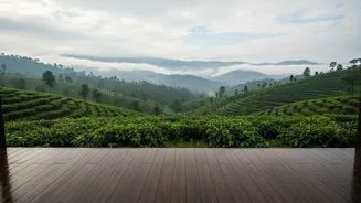 Plantation Homestays In Coorg Tap Into Rising Demand For High-Altitude Monsoon Stays
