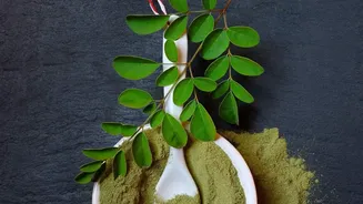 Inside Moringa In Everyday Meals: Food Ideas Without Promising Health Miracles