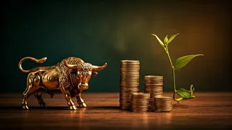 Taurus Daily Forecast: May 6, 2026 - Navigating Relationships & Finances