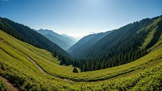 Why North India's Green Hills Are Trending Again