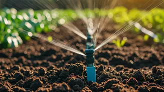 Kitchen Garden Infrastructure Costs Crash Following Favorable New Policy Upgrades