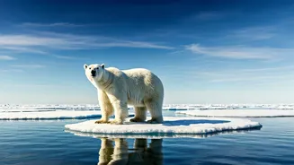 Amazing Animals Thriving in Extreme Climates