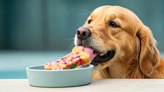 Keep Your Furry Friend Cool With Homemade Frozen Enrichment