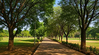 Escape the Chaos: India's Calmest Cities