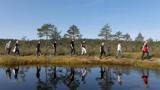 Estonia's bog-shoeing trails: A unique adventure