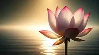 Pisces Daily Horoscope: May 12, 2026 - Balancing Generosity with Self-Preservation