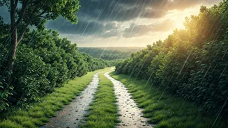 Four States Need A Monsoon Travel Checklist