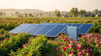 Why Rural Rose Producers Invest In Off-Grid Solar Storage Infrastructure