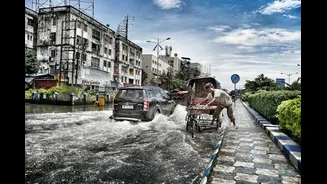 India’s Climate Stand: Focus on Adaptation, Mitigation, and Equity