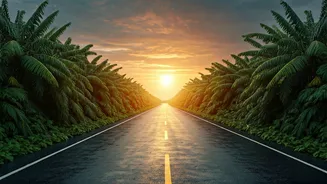Rainy Season Road Trips Are Better Before Sunset