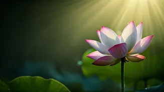 Apara Ekadashi 2026: Unlock Spiritual Growth and Divine Blessings in May