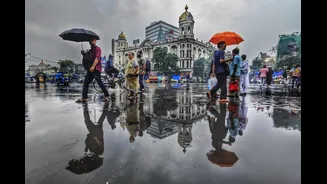 Kolkata Weather Update: Moderate Air Quality and Warm Temperatures
