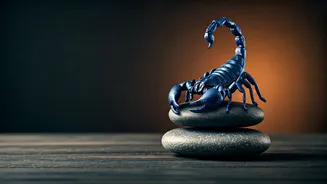 Scorpio's Insightful April 10, 2026: Observe, Reflect, and Proceed with Calm