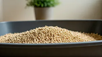 Say Goodbye To Cat Box Smells Using Corn Husk Litter
