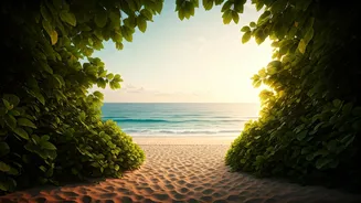 Near-Empty Beaches Make Couples Feel Alone In Paradise