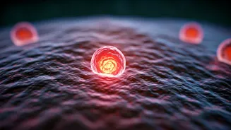 Silent Alarms: Recognizing Early Cancer Symptoms You Shouldn't Ignore