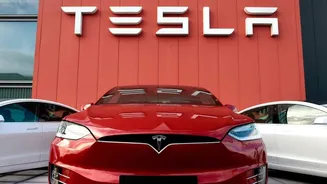 Tesla maintains strong EV sales momentum despite US challenges