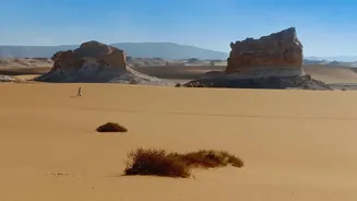 Qatar's One-Day Travel Guide Offers A Quick Look At Desert And Sea Attractions
