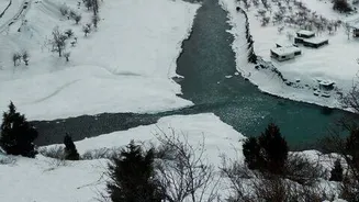 Indian study finds Uttarakhand glaciers retreat 23.23m, Khatling 88m yearly