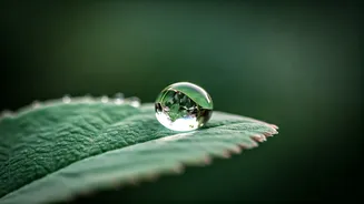 Ken Wilber's Wisdom: How Practice Transforms Your Intentions and Fosters Lifelong Growth